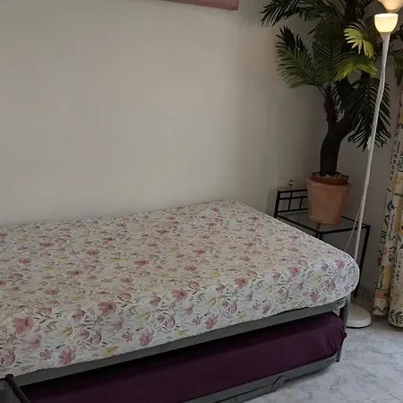 Appartement Sonnenterrasse Mit Meerblick 3 Zi Penthouse Dachterrasse Balkon Pool *